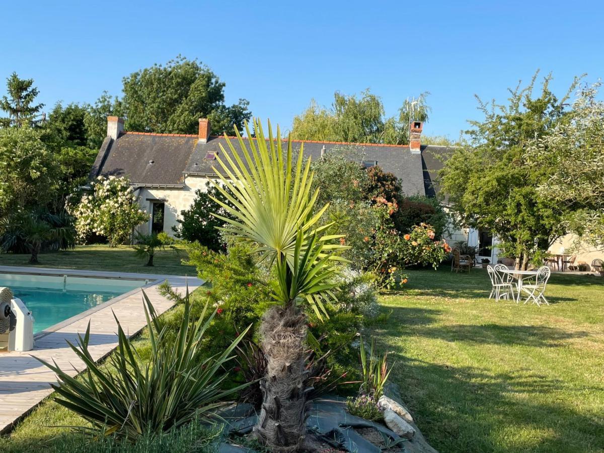 Chambres D Hotes Avec Piscine Et Spa La Foliere Saumur Villebernier Экстерьер фото